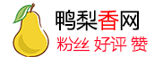 www.82pr.com Quora 点赞|投票|分享 - Quora推广 - Quora刷粉丝|Quora刷赞 82胖人tiktok粉丝营销网